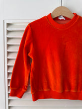 Load image into Gallery viewer, Vintage Velour Toddler Crewneck
