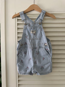 Strawberry Baby Oshkosh Shortalls