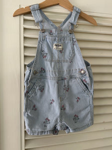 Strawberry Baby Oshkosh Shortalls